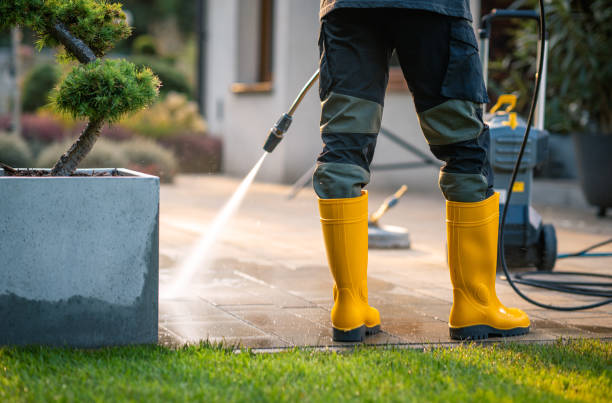 Best Pressure Washing Company Near Me  in Cuero, TX